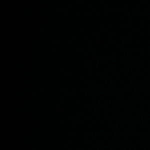 Meet your Posher, Sonyia